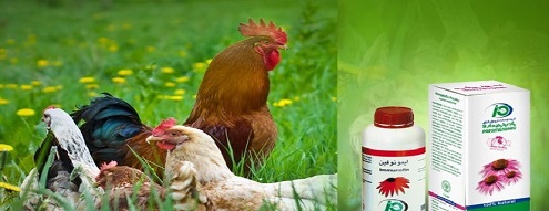 Veterinary herbal drugs will be supporrted by Sci-Tech vice-president of Iran
