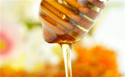 Iran is the 8th Country in the World to Produce Honey