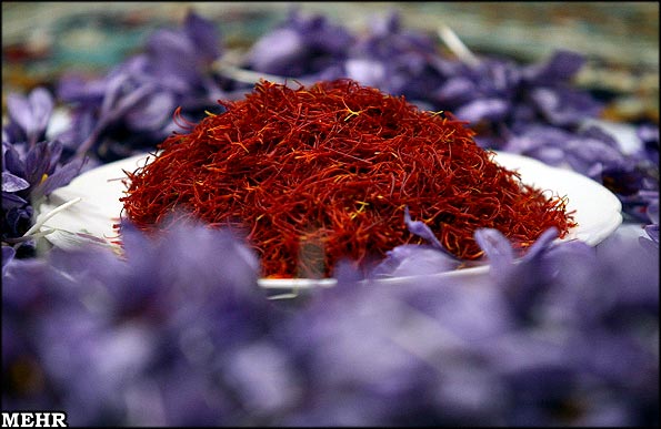 94 Percent of World Production of Saffron in Iran/40-Million-Dollar Export of Essential Oil Plus Extracts